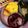ayndrila dutta's cooksnap of when they made Mutton (Tender Goat Meat) Kala Bhuna.