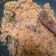Cooksnap dari Jojo Ramli untuk resep Dendeng Ragi (Daging Sapi serundeng)