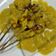 Cooksnap dari Diyan Ummu iskhoyas untuk resep Sate Ayam bumbu kuning (Sate Padang)