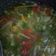 Cooksnap dari Ben Rumimbo untuk resep Sayur sop simple