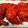 Cooksnap dari Eriska untuk resep Spicy Chicken Wings ala Richeese