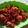 Cooksnap dari Hanoy Oktavian untuk resep Fire chicken ala richeese / Ayam pedas
