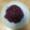 El cooksnap de Azucena cuando hizo Mug cheesecake frutos del bosque 1, 30’ al micro 😇🤤.