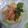 Cooksnap dari peny16 untuk resep Kare Ayam Tahu non MSG
