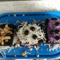 Cooksnap dari Dugong untuk resep Brownies Kukus Oreo Simple 2 Bahan
