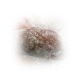 hawaiinut's cooksnap of when they made 雪見だいふく風スイーツ（チョコアイス).