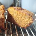 El cooksnap de Susana Gomez cuando hizo Bizcocho de zanahoria y manzana Thermomix.