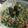 Templar777's cooksnap of when they made Broccoli Salad.