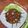 Cooksnap dari Cicilia Yustina Salamony untuk resep Tumis Buncis Daging Kecap