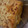 El cooksnap de lolo cuando hizo Sopa paraguaya.