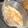 El cooksnap de Cuata Tere cuando hizo Hummus de garbanzo.