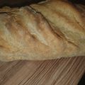 El cooksnap de Rosa Gallego cuando hizo Pan sin amasar, sin reposar y con levadura química.