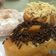 Cooksnap dari trirofiana untuk resep Donat kentang NCC by ibu Fatmah Bahalwan