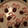 frogbutt's cooksnap of when they made *Reindeers*.