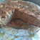 El cooksnap de Adriana Ren cuando hizo Torta de Avena y manzana.