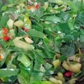 Cooksnap dari tris untuk resep Oseng Daun Kencur Pedas