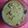 Antara Roy's cooksnap of when they made মাছের মাথা দিয়ে মুগ ডাল(Machher matha diye monng dal recipe in Bengali).