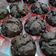 Cooksnap dari Diandra A. untuk resep Muffin Ekonomis