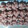 Cooksnap dari dahlia hidayati untuk resep Bolu kukus Fanta Dalmation