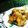 Cooksnap dari Rainbow Plate untuk resep Ayam Bumbu Rujak