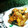 Cooksnap dari Rainbow Plate untuk resep Ayam Bumbu Rujak