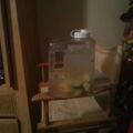 peachessweet11's cooksnap of when they made Fat burning water.
