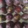 Cooksnap από elenixania στη συνταγή Muffins με σοκολάτα και γλάσο σοκολάτας