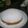 El cooksnap de alicialaflaca01 cuando hizo Torta increíble de limón.