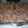 kabsutphen's cooksnap of when they made Kid's rice crispy treats (crock pot).
