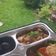 Cooksnap dari Pramita untuk resep Mapo Tahu