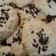 Cooksnap dari Mahesa Sukma untuk resep Kue kering kelapa