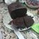 El cooksnap de Rodrigo Martos Soto cuando hizo Bizcocho de chocolate (en panificadora).