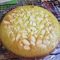 Cooksnap dari Vinahala untuk resep Bolu jadul pak sahak versi pandan