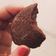 El cooksnap de Antonella Chávez cuando hizo Galletitas de chocolate 🍫 económicas fáciles rápidas y ricas!.
