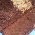 Cooksnap dari Giesa untuk resep Brownies panggang chocolatos 2 telur