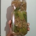 El cooksnap de Patri cuando hizo Berenjenas al escabeche !!!.