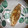 El cooksnap de pepagores cuando hizo Gyozas de melocotón.