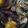 Cooksnap dari Dyah Kusumaning Wardhani untuk resep Kerang Dara Saus Padang