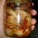 Cooksnap dari Dina Mariana untuk resep Kimchi Korea Sawi Putih ala Rempah Lokal