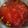 titir chowdhury's cooksnap of when they made টমেটোর চাটনি (Tomato chutney recipe in bengali).