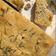 Cooksnap de Emília Pinto Oliveira quando cozinhou Focaccia de alho, alecrim e flor de sal.