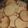 El cooksnap de Araa cuando hizo Galletitas de limón.