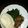 Shirley M's cooksnap of when they made Ugali, sukuma wiki & wet-fried omena.