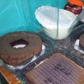 Cooksnap dari Nurika Zakiah untuk resep Bolu Ketan Hitam Kukus (TANPA SANTAN)