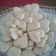 El cooksnap de Paula Iglesias cuando hizo Galletitas de Limón.