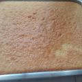 El cooksnap de sonia cuando hizo Torta de coco 🥥.