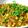 Hina Ibrahim's cooksnap of when they made Daal chana with qeema.