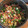 El cooksnap de Julián cuando hizo Ensalada de espinacas y pasta de lentejas rojas.