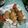 Cooksnap dari Yohanes Dinar Setya Adi untuk resep Ayam crispy /kentucky