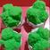 Cooksnap dari Rinsardones Rinsardones untuk resep Kue Mangkok Mekar Lembut (eggless)